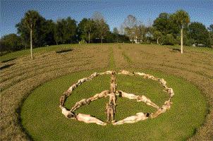 Peace (United Nations)